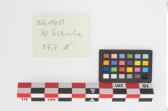 Etikett zu Bronzesitula (NHMW-PRAE-024140)